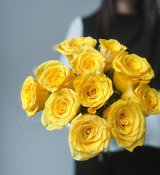 【AB级契机玫瑰.第二件减10元】10支/份 长约60cm 商品图0