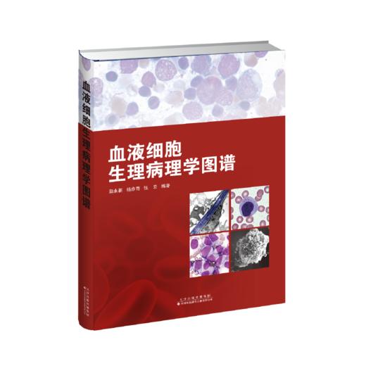 血液细胞生理病理学图谱 血液疾病，血液细胞，生理学，病理学，图谱 商品图2