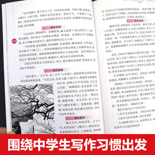 《读者《作文通讯》全4册 精华本 商品图5