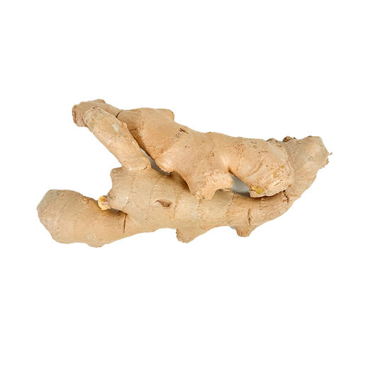 【本地蔬菜】生姜500g 商品图0