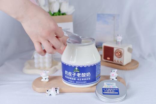 【老马在草原专属】维聪乳业 蒙古奶皮子老酸奶1kg*2桶装 商品图2