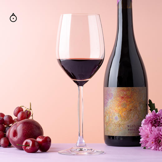 企鹅市集|小酒馆爆款自然酒 Wish You Were Here 愿你在此·干红葡萄酒2021 野樱桃乌梅汁  商品图6