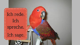 #词汇# 如何区分德语中的 sprechen - sagen - reden