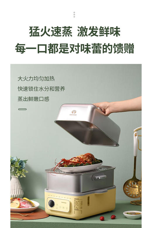 大宇多功能电蒸锅DYZG-1568
 商品图2