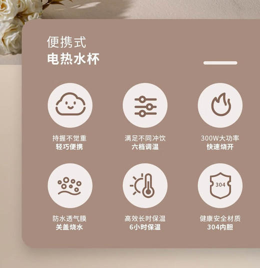 大宇便携电热水杯 商品图1