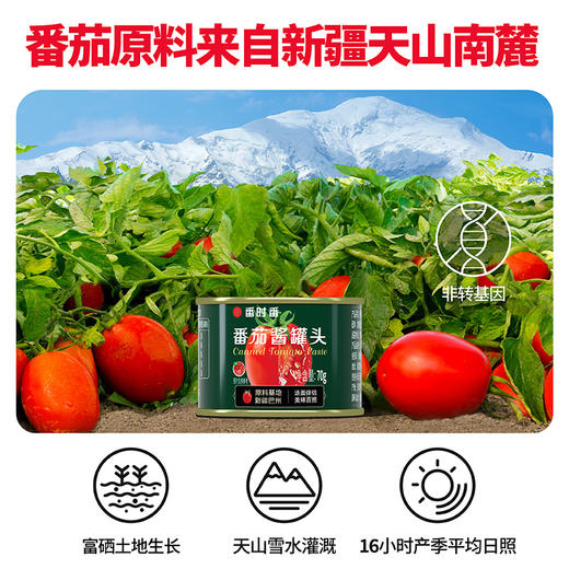 【新疆大番茄 自然完熟】番时番新疆切块番茄400g*5罐 商品图4