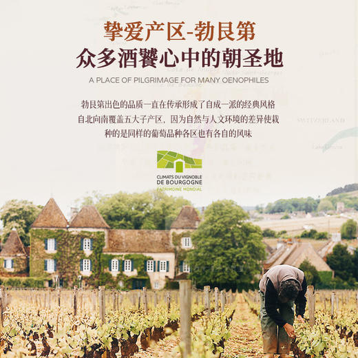 【法国进口 勃艮第法定AOC】法国默尔索庄园十字勋章黑皮诺干红葡萄酒 12.5%vol 商品图1
