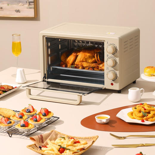 大宇电烤箱20LDY-KX1801 商品图1