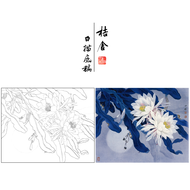 周中耀工笔画白描底稿昙花《影逐情浓》小品临摹勾线高清打印稿ZT17