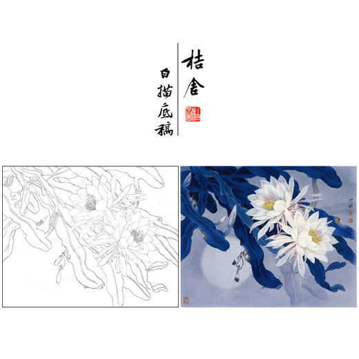 周中耀工笔画白描底稿昙花《影逐情浓》小品临摹勾线高清打印稿ZT17 商品图0