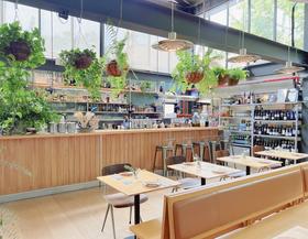 在武康路上的绿野仙踪