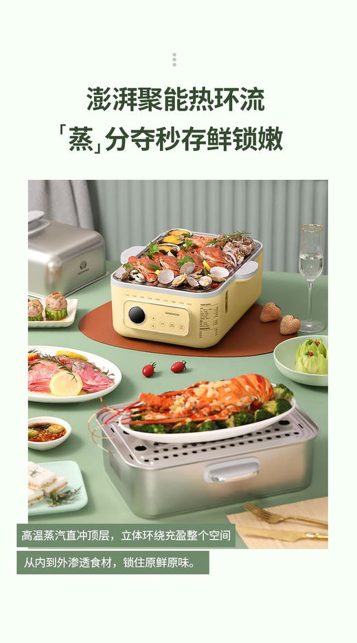 大宇多功能电蒸锅DYZG-1568
 商品图1