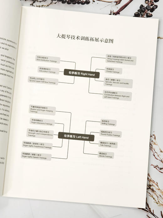 大提琴双手技能练习汇编 扫码赠送视频  秦立巍主编 江鹤 副主编 上海音乐出版社自营 商品图4
