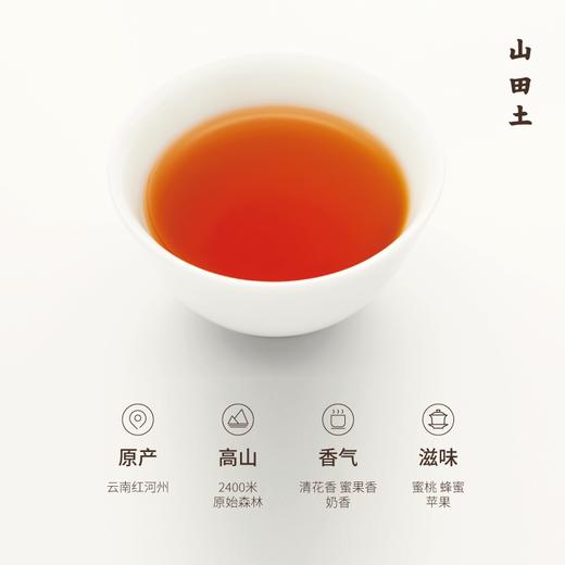 山田土丨云南阿波黎山野生古树红茶 茶小饮系列 商品图1