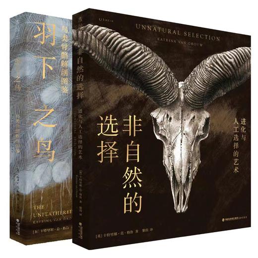 羽下之鸟+非自然的选择（套装/单本）【重磅新品】 商品图2