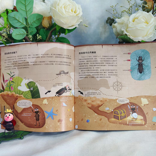这才是孩子爱读的昆虫记礼盒(全15册) 商品图11