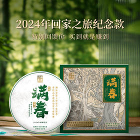 澜沧古茶2024年回家纪念茶满春景迈山古树头春生茶357g