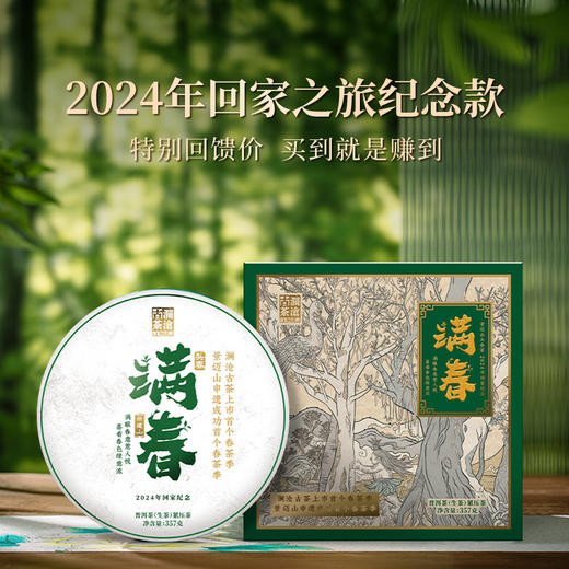 澜沧古茶2024年回家纪念茶满春景迈山古树头春生茶357g 商品图0