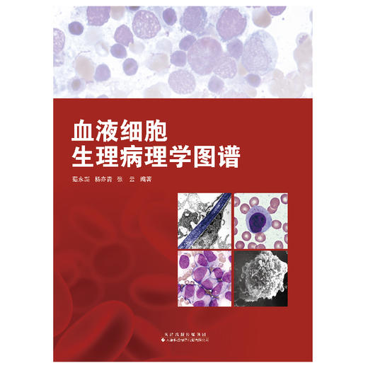 血液细胞生理病理学图谱 血液疾病，血液细胞，生理学，病理学，图谱 商品图3