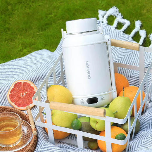 大宇便携电热水杯DYSH-BX12 商品图2