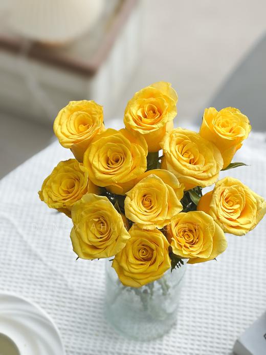 【AB级契机玫瑰.第二件减10元】10支/份 长约60cm 商品图6