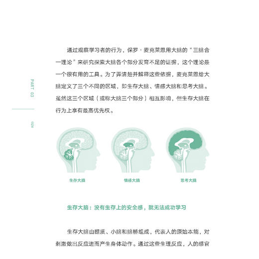 《没有不聪明的大脑 只有不会训练的父母》 商品图7