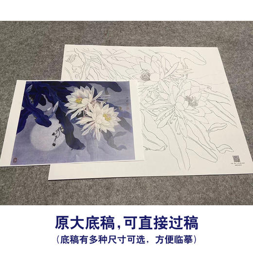 周中耀工笔画白描底稿昙花《影逐情浓》小品临摹勾线高清打印稿ZT17 商品图1