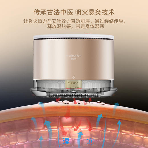 倍轻松姜小竹A2标准版（赠姜小竹A2标准版耗材*1） 商品图2