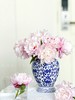 【AB级粉凌红花重瓣芍药】10支/份 商品缩略图6