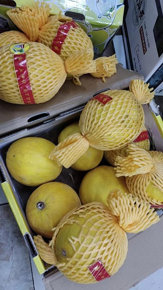 特价皇品蜜瓜2个（有瑕疵介意勿拍无售后） 商品图0