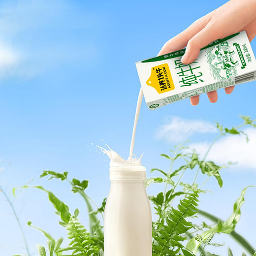 认养一头牛纯奶200ml12入一提装110101101001 商品图1