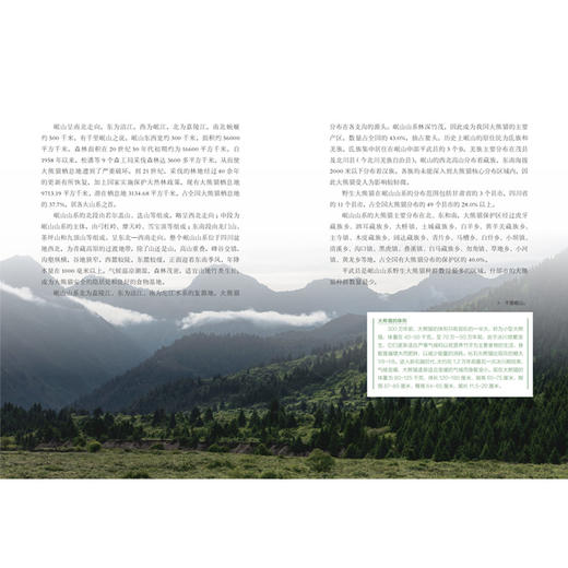 青鸟新知文丛（套装共5册） 商品图8