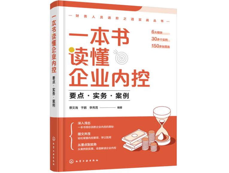 一本书读懂企业内控：要点·实务·案例