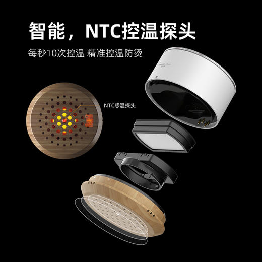 倍轻松姜小竹A2标准版（赠姜小竹A2标准版耗材*1） 商品图1