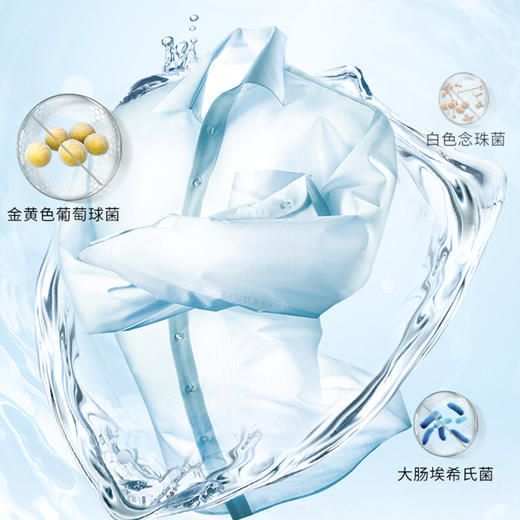 老管家 衣物除菌液2L衣服消毒水杀菌除螨清新柠檬 商品图2