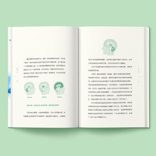 《没有不聪明的大脑 只有不会训练的父母》 商品图2