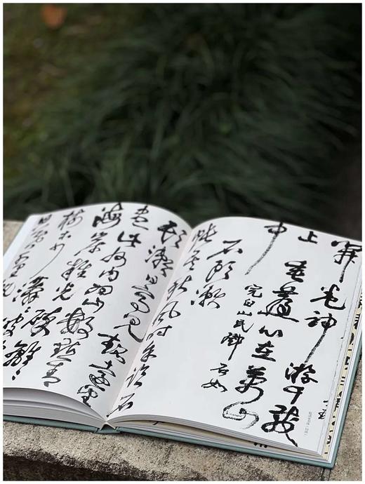 《陆抑非全集》（全五册），陆抑非著，郎绍君编，精装，8开，全5册，1564页，净重19公斤，浙江人民美术出版社版次2024年3月1版1印。定价6800，售价4800元。 商品图12