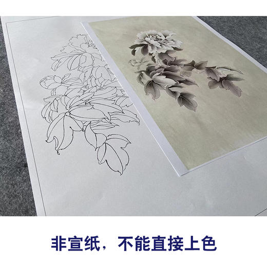 王后波工笔画白描底稿《素影》临摹勾线高清打印稿YL33 商品图2