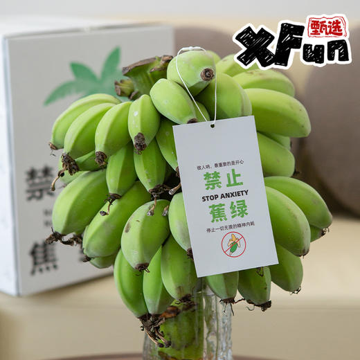【打工人必备 摸鱼搭子】禁止蕉绿  水培苹果蕉 商品图0