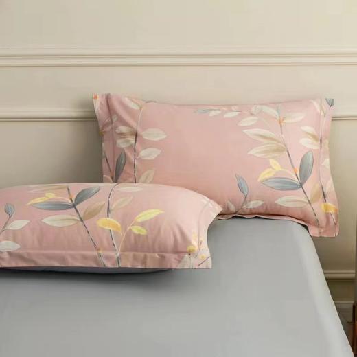 【春上新】10楼 恐龙 全棉四件套-芙羽/粉 200*230cm   吊牌价1880元    活动价399元 商品图2