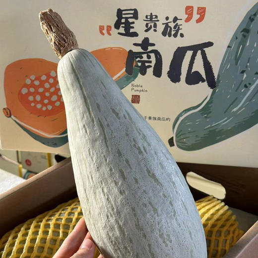 新鲜水果-软糯香甜星贵族南瓜7.5-8.5斤【SP】 商品图0