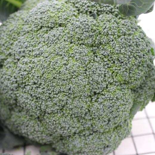 生态西兰花（下单4天左右发出） | 合作生产 * Ecological Broccoli |  Partner Production 商品图3