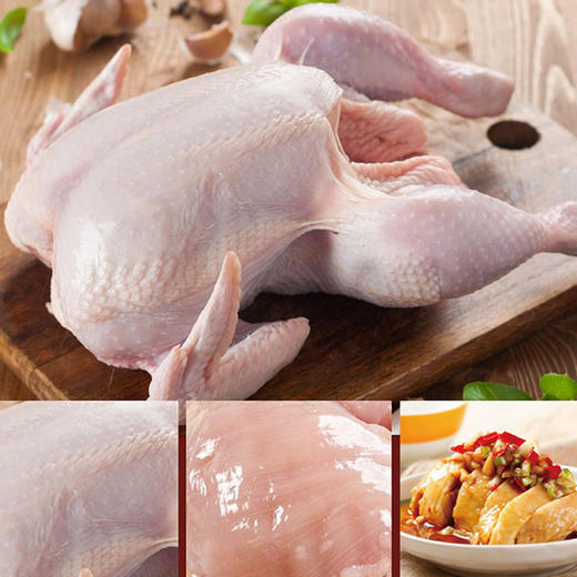 广东·清远 中国国家地理标志产品 红功夫 清远麻鸡 甄选生鲜足龄老母鸡 现宰现发 新鲜到家 商品图2