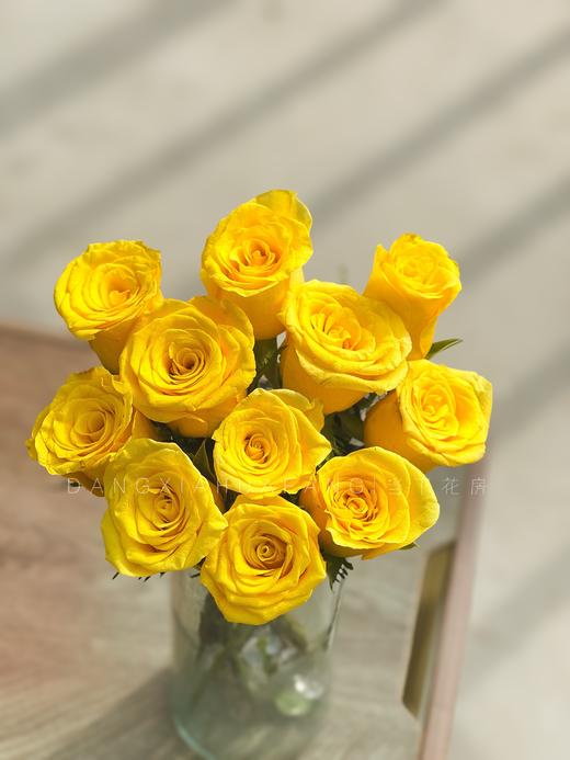 【AB级契机玫瑰.第二件减10元】10支/份 长约60cm 商品图8