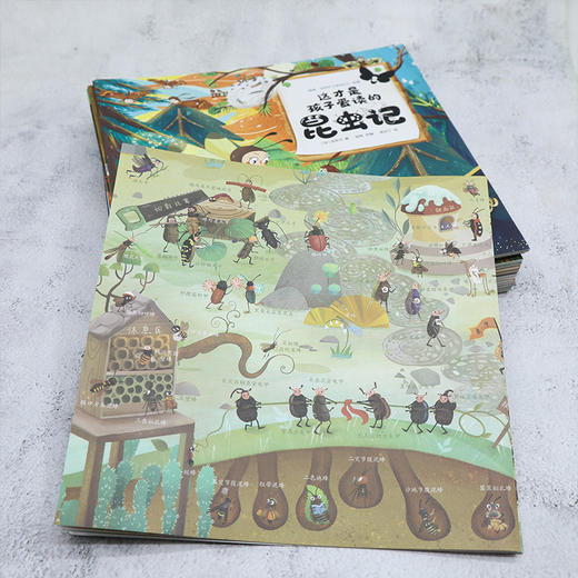 这才是孩子爱读的昆虫记礼盒(全15册) 商品图9