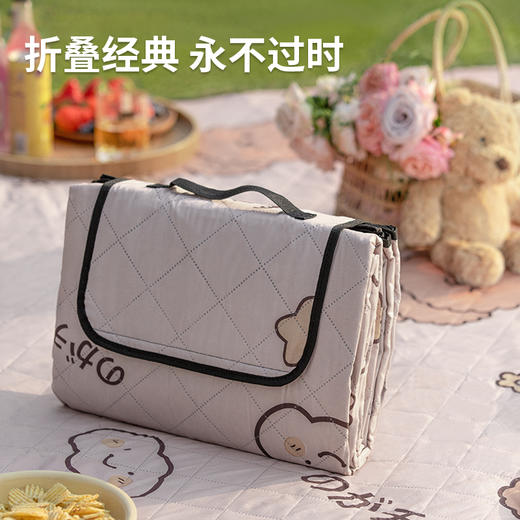 凯速超声波便携野餐垫 150x200 cm（±3%） F18 商品图3