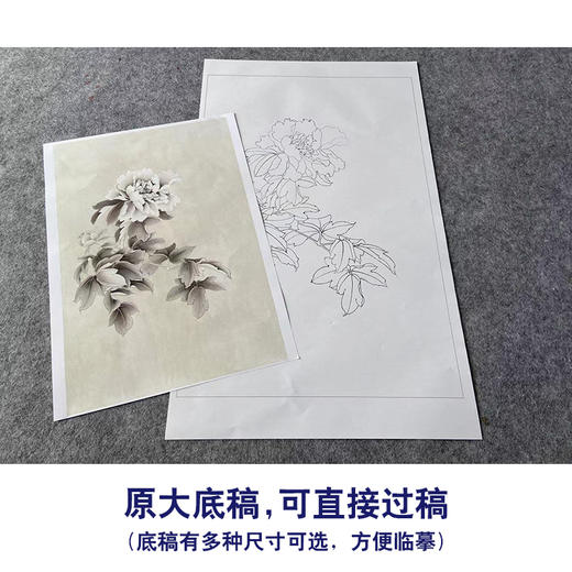 王后波工笔画白描底稿《素影》临摹勾线高清打印稿YL33 商品图1