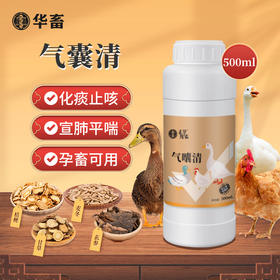 华畜气囔清500ml化痰止咳宣肺平喘孕畜可用