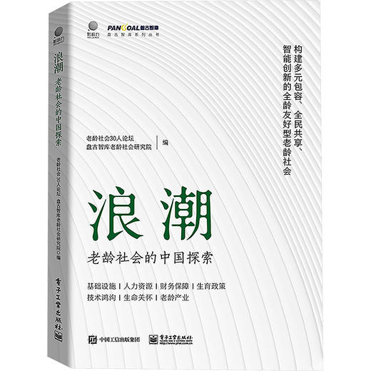 浪潮 老龄社会的中国探索 商品图0