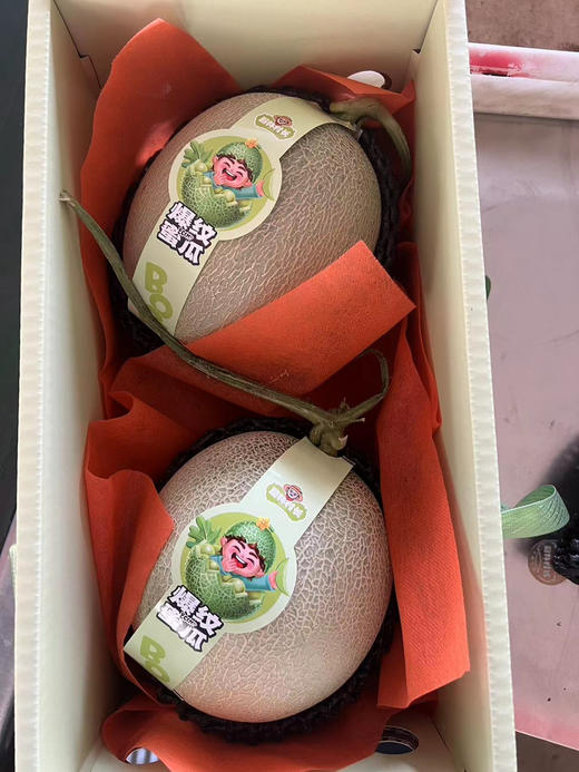 网纹蜜瓜他来自进口种源！生长在北纬37。四级分明的沿海城市！山东海阳！地标性特产！
糖度1+！口感糯甜爆汁！犹如吃蜜！也可以称他为甜瓜界的劳斯莱斯！4.5斤左右/箱 商品图3